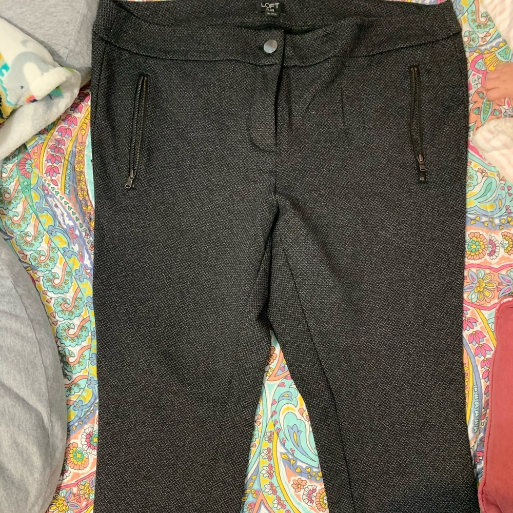 Loft 16 Plus Jegging dress pants